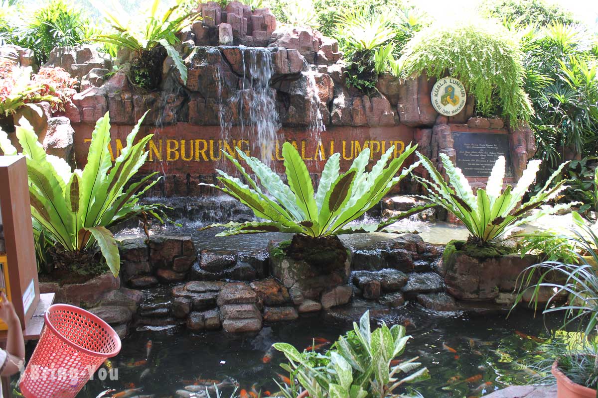 吉隆坡飞禽公园(KL Bird Park)