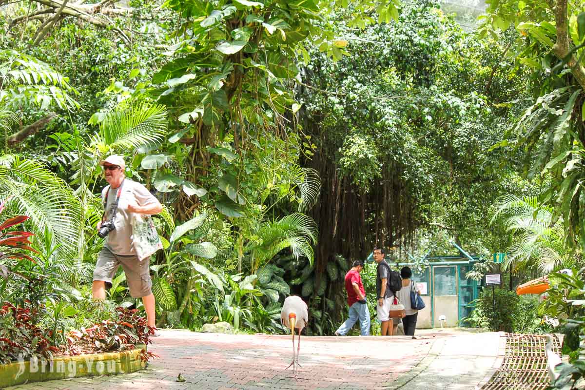 吉隆坡飞禽公园(KL Bird Park)