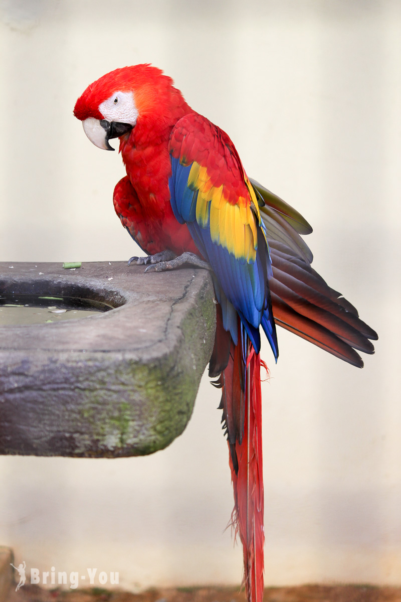 吉隆坡飞禽公园(KL Bird Park)