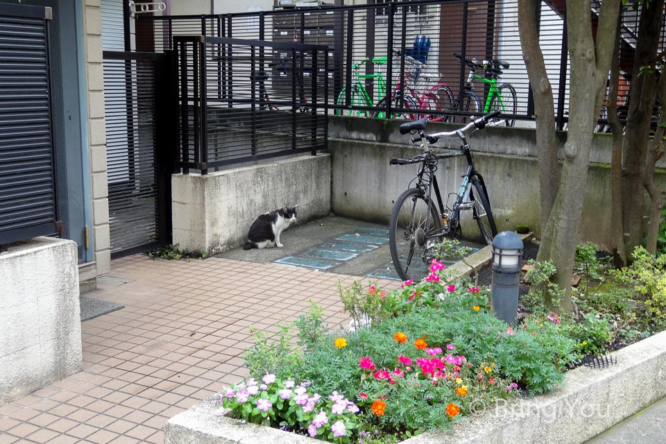 裏原宿逛街景點