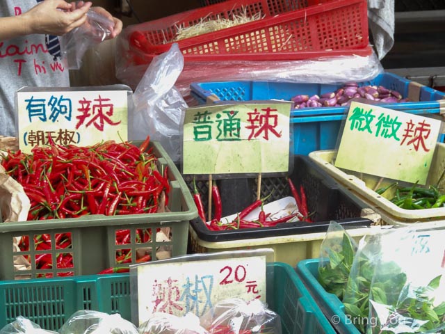 嘉義旅遊-10