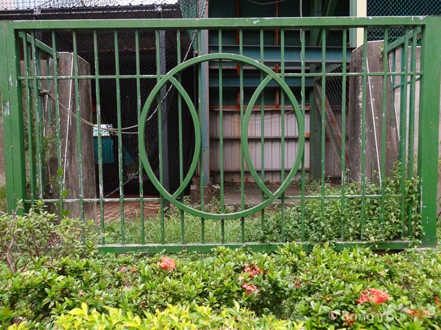 嘉義旅遊-17
