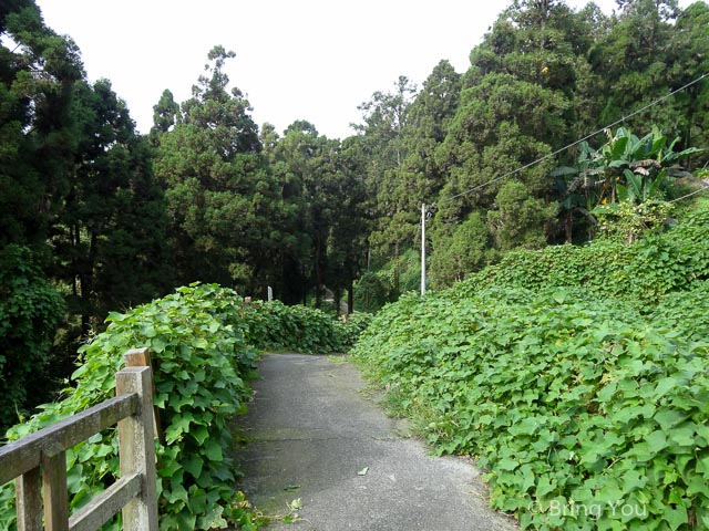 奮起湖a-26