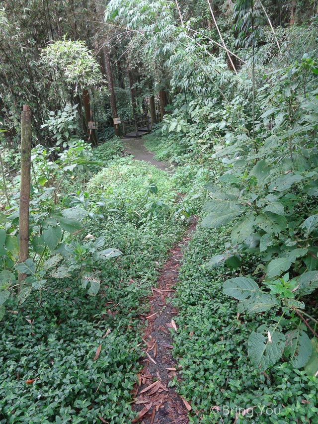 奮起湖a-35