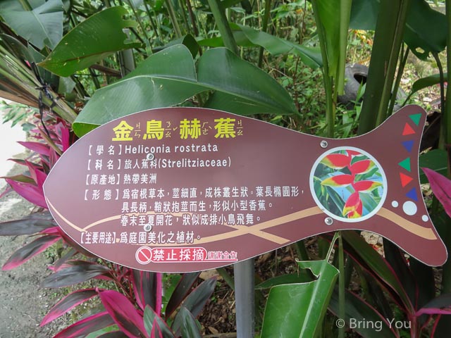 達娜伊谷-4