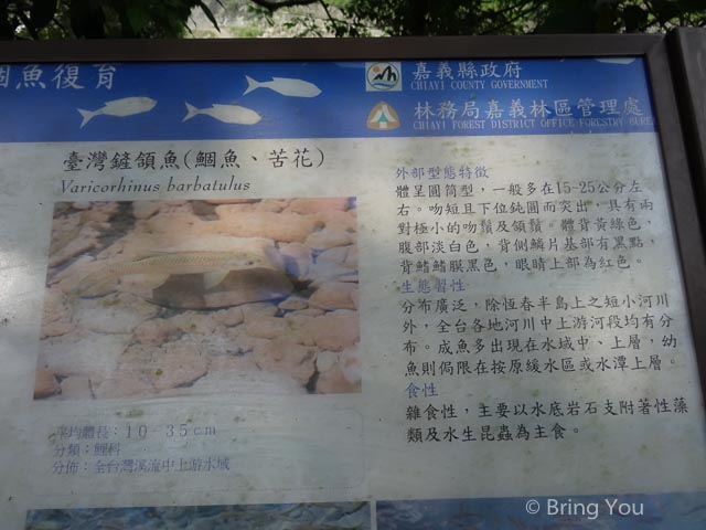 達娜伊谷-6