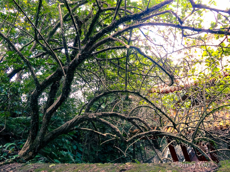 基隆中正公園-11