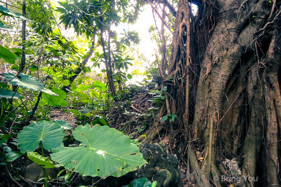 基隆中正公園-13