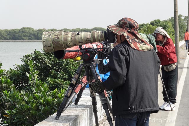 茄萣溼地公園 黑面琵鷺 彈塗魚-8