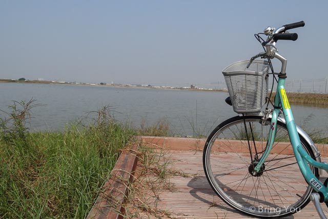 茄萣溼地公園 黑面琵鷺 彈塗魚
