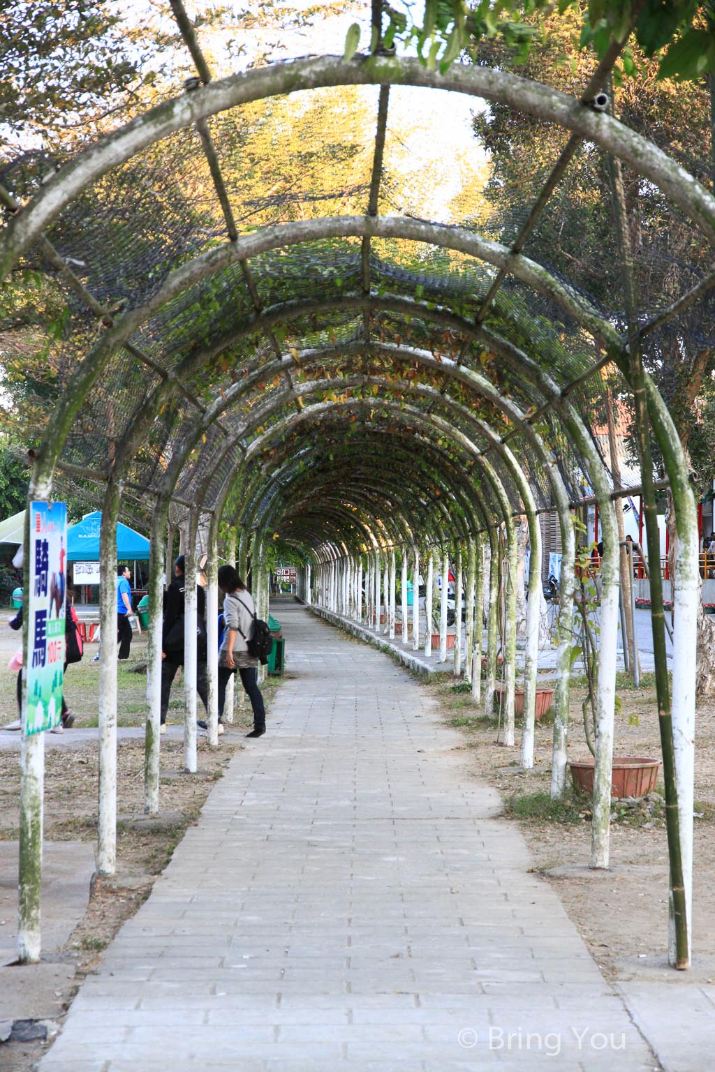 走馬賴農場-19
