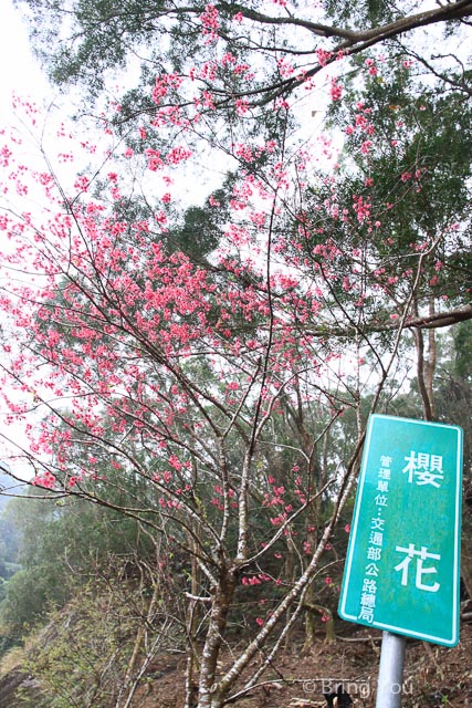 霧台a