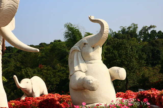 大樹旅遊 佛陀紀念館-7