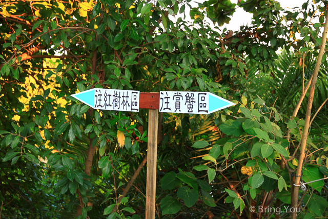 援中港溼地-24