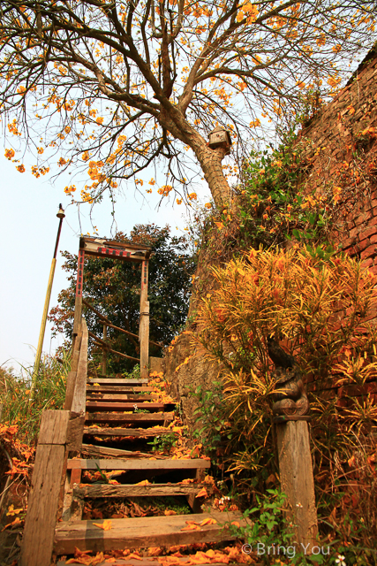 台南旅遊 北寮彩繪村-3