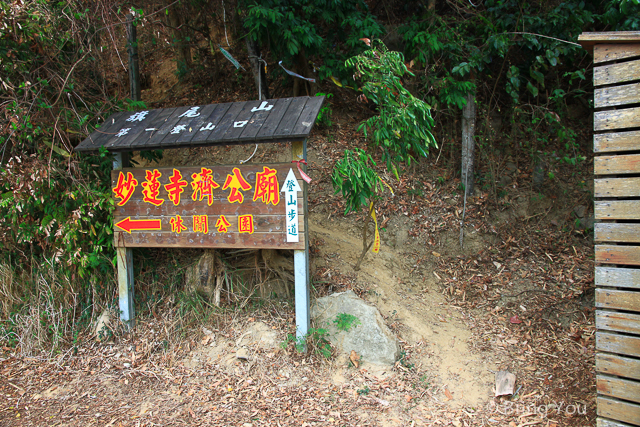 旗尾山-4