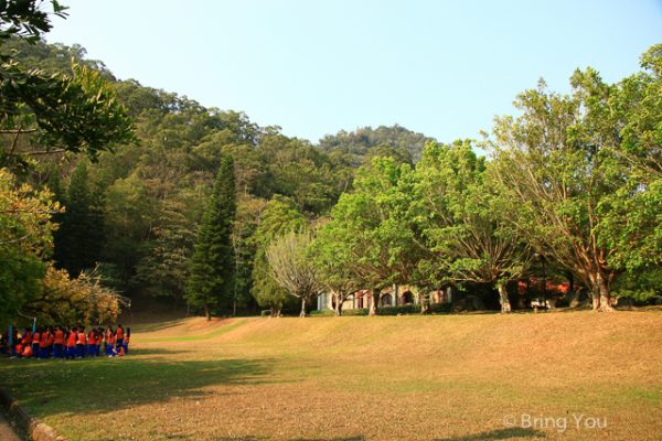 泰雅度假村 梅子季-15