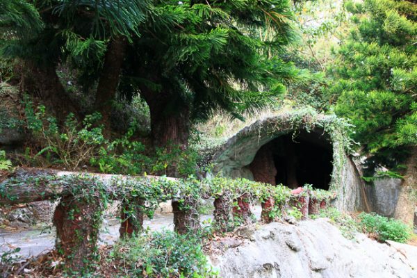 泰雅度假村 梅子季-31