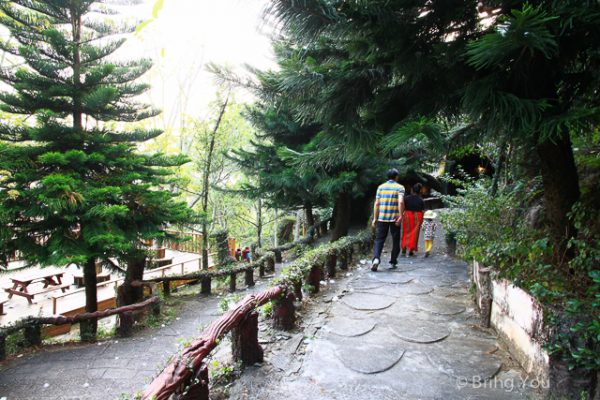 泰雅度假村 梅子季-33