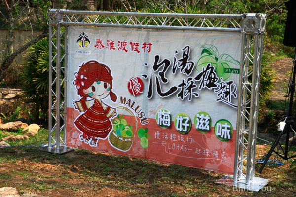 泰雅度假村 梅子季-59