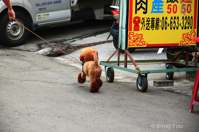 鹽水旅遊-9