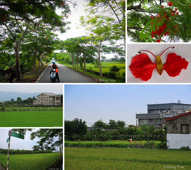 FARM