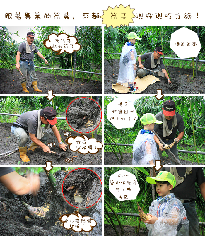 竹筍