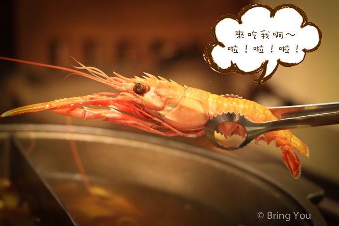 聚梧桐-179