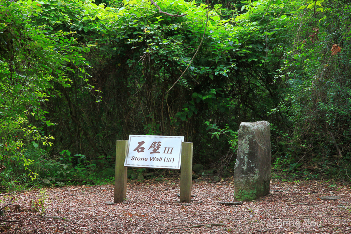 都蘭旅遊-20