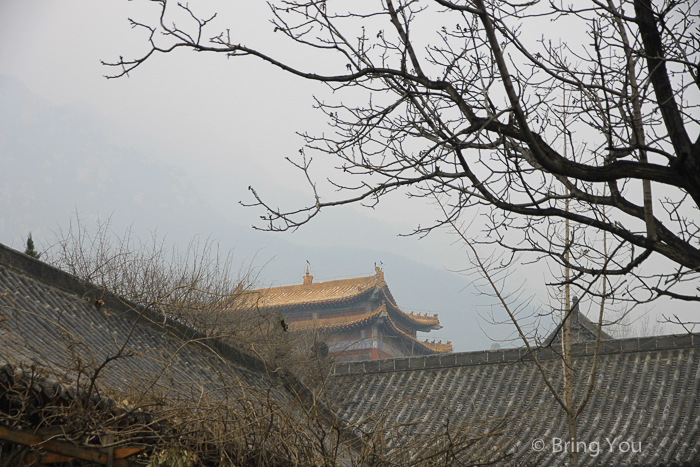 少林寺-13