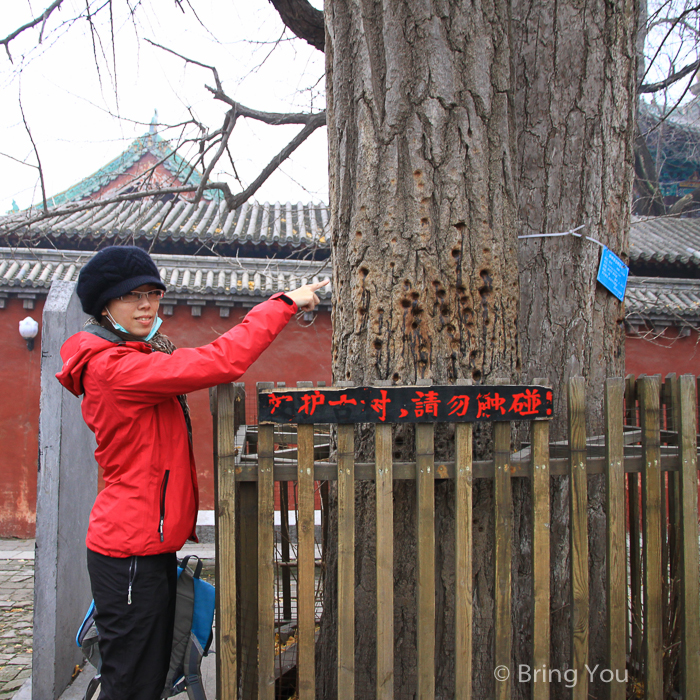 少林寺-35