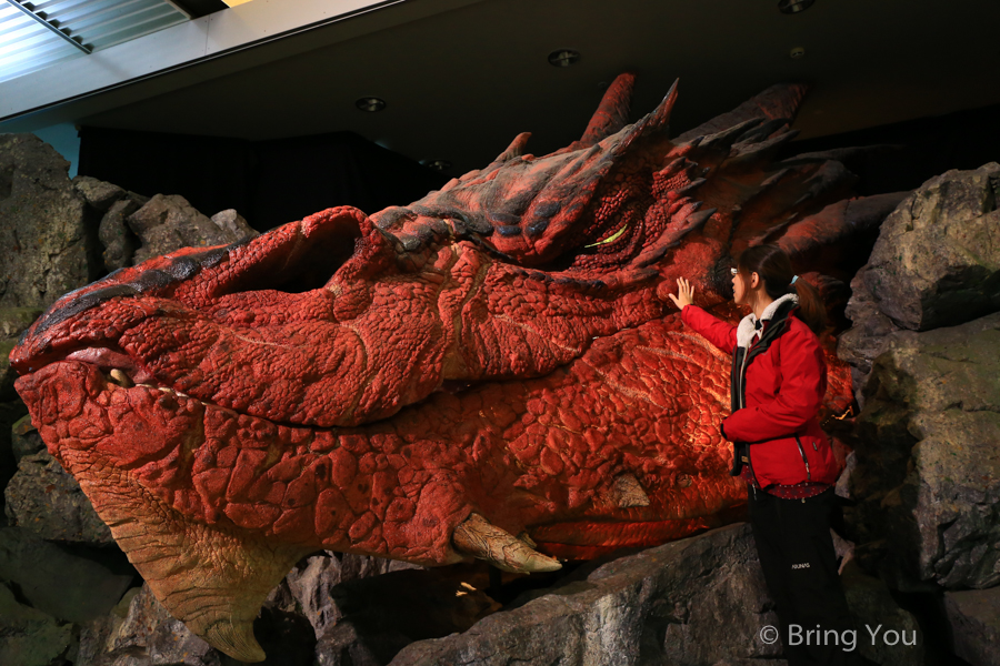air-new-zealand-2