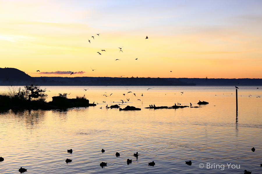 Lake Rotorua