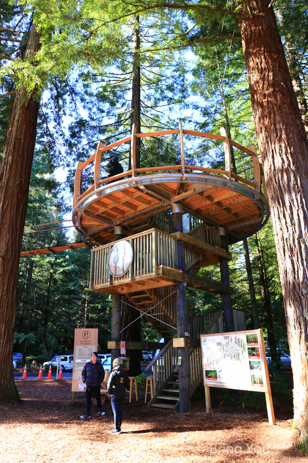 Redwoods Whakarewarewa Forest