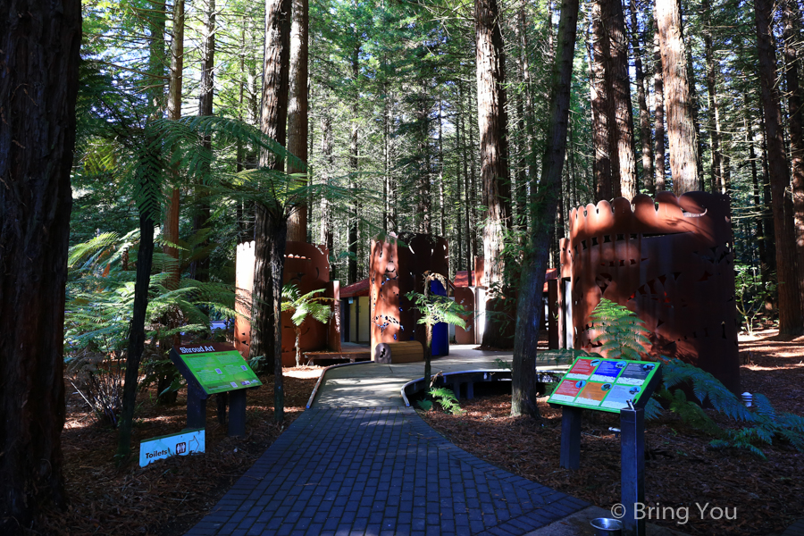 Redwoods Whakarewarewa Forest
