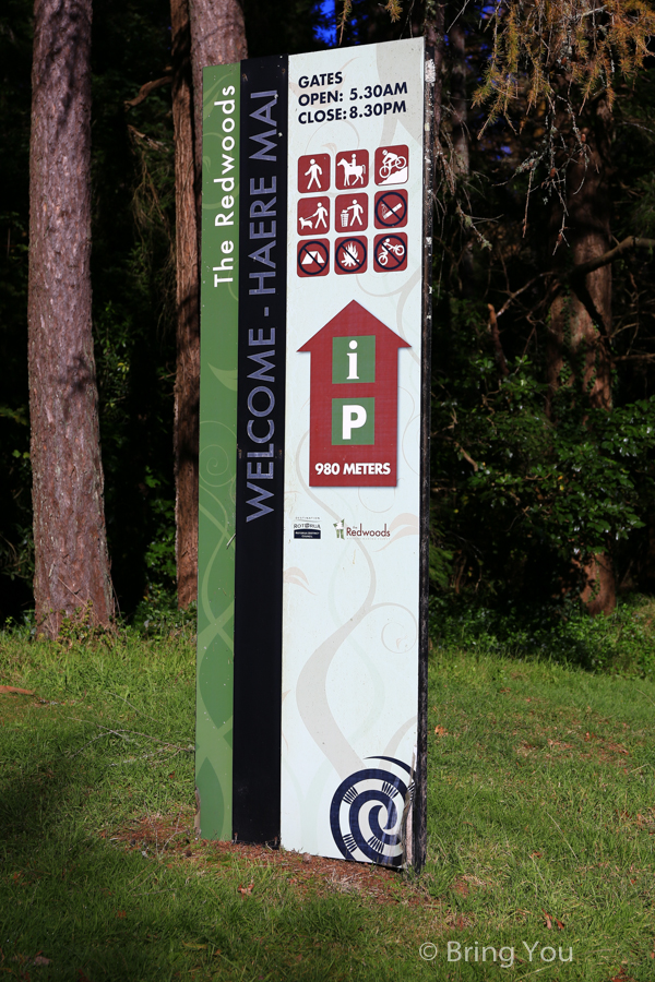 Redwoods Whakarewarewa Forest