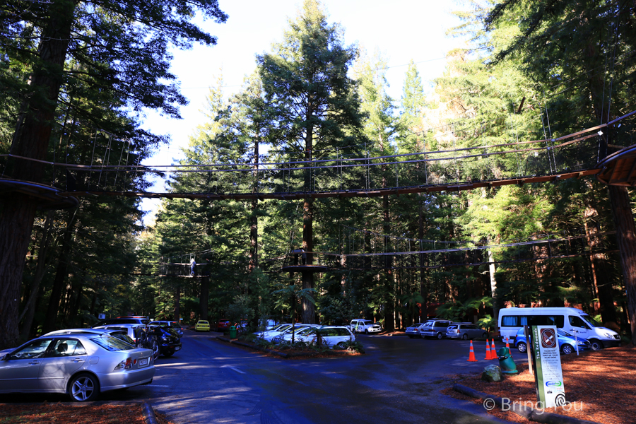 Redwoods Whakarewarewa Forest