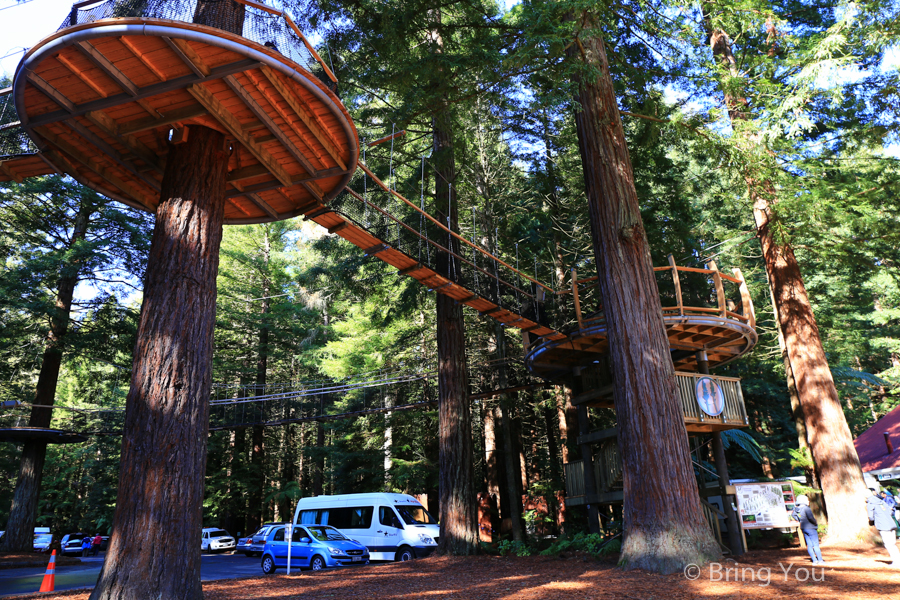 Redwoods Whakarewarewa Forest