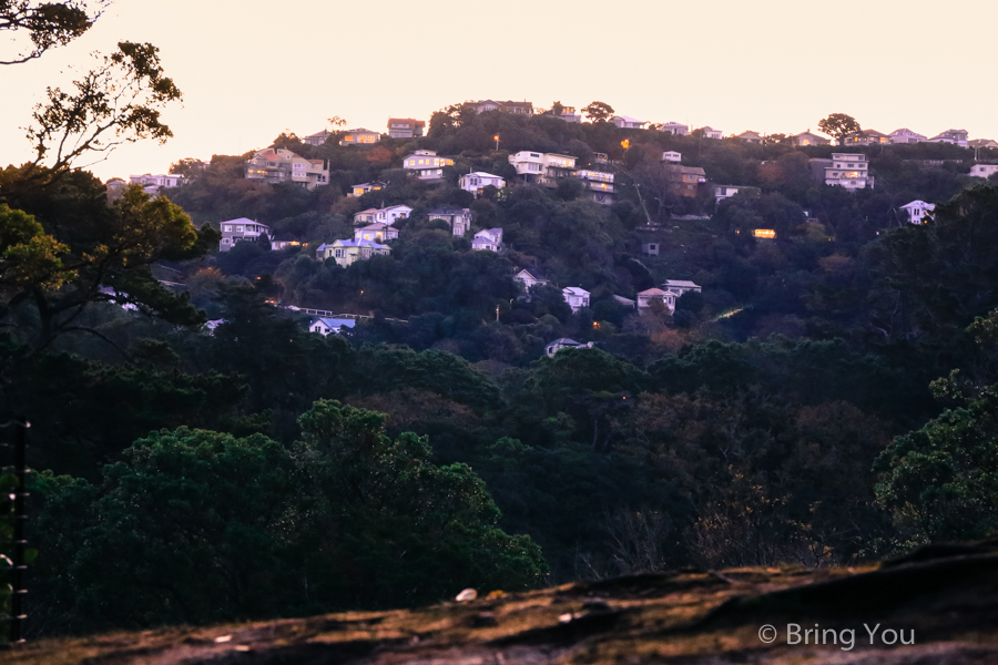 wellington-botanic-garden-3