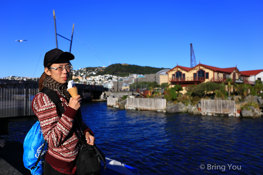 wellington-travel-29