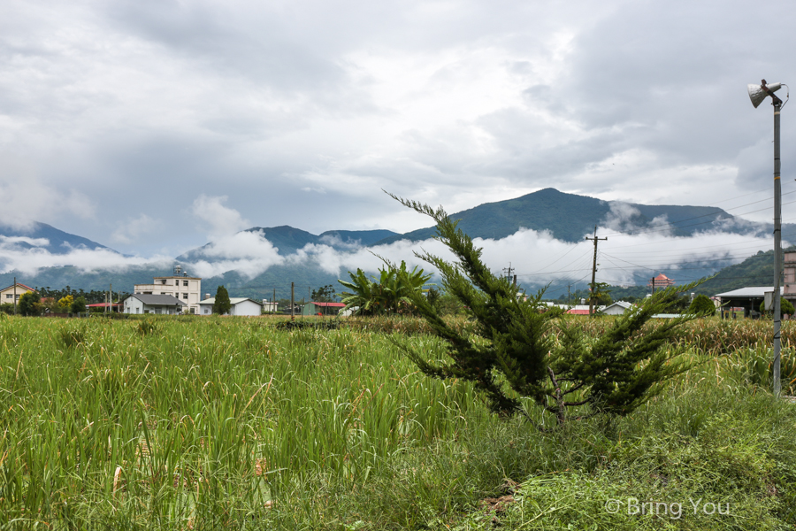 nantou-farm-2