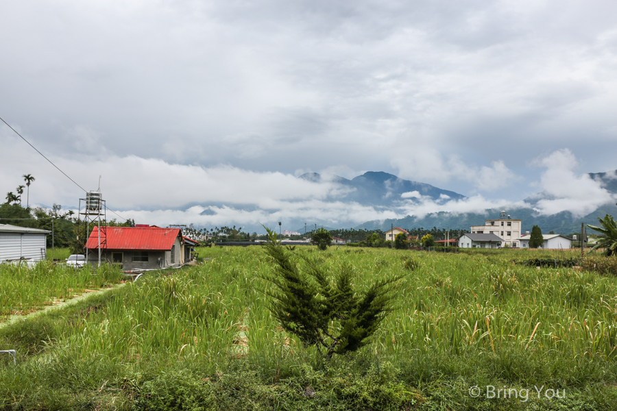 nantou-farm-3