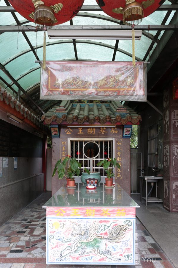 nantou-old-tree