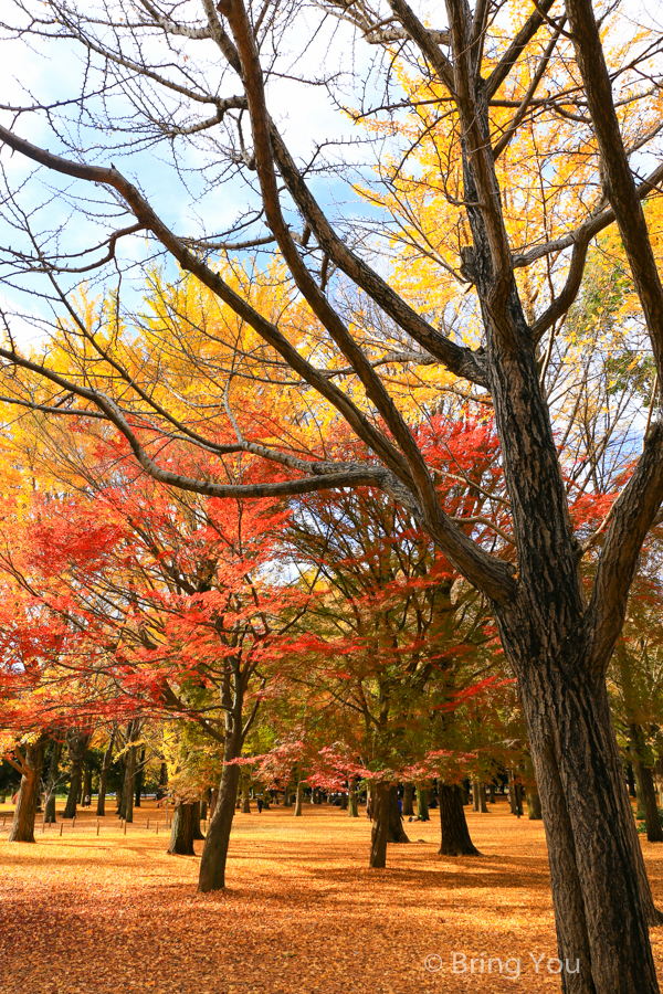 原宿附近景點