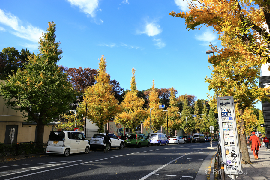 harajuku-6