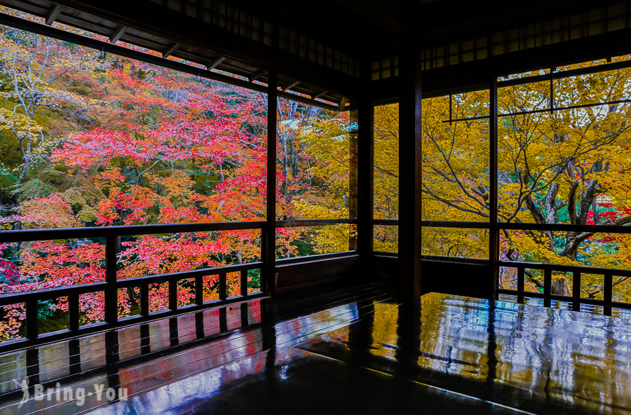 京都瑠璃光院楓紅