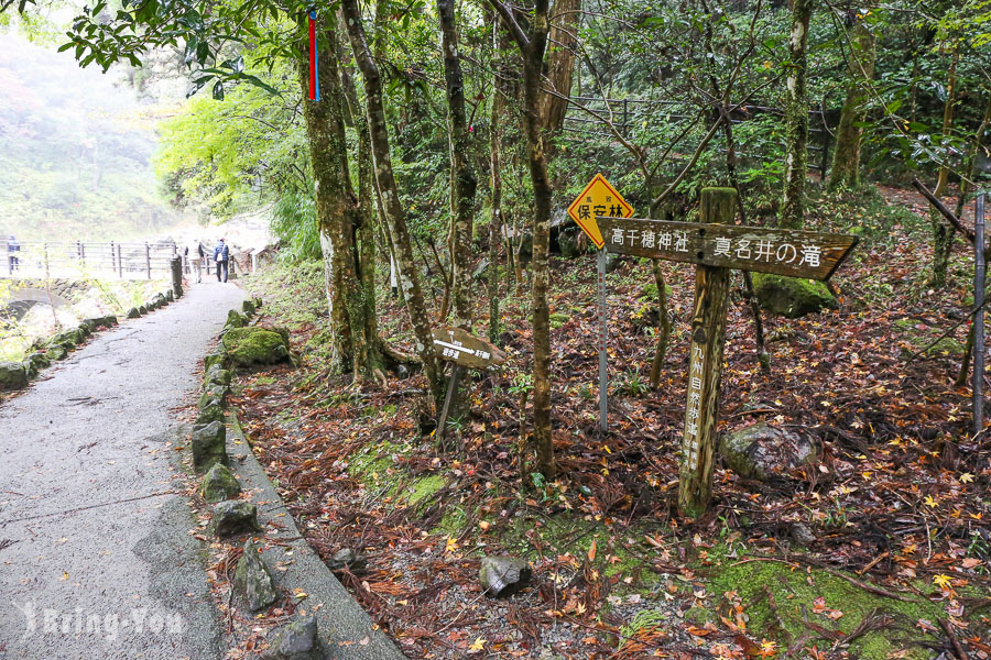 高千穗神社遊步道