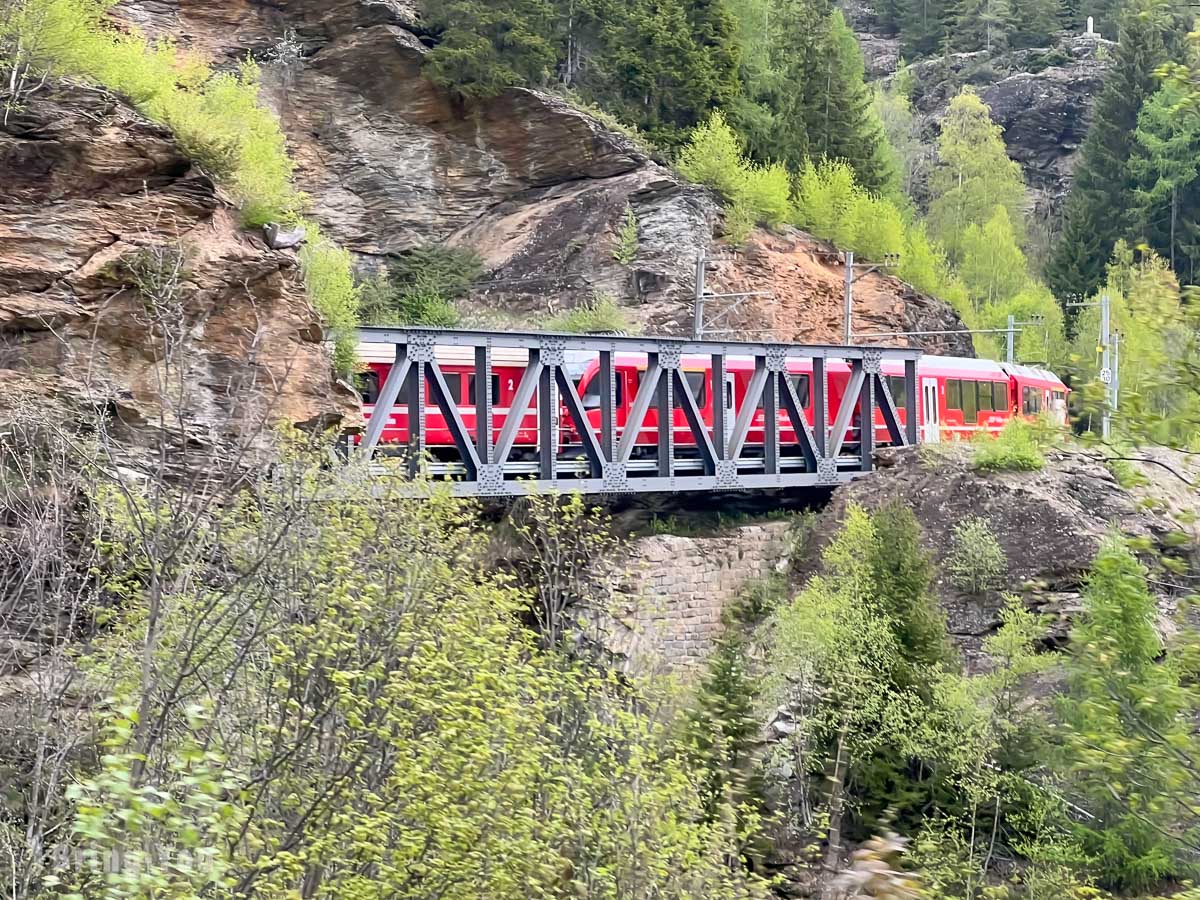 伯连纳列车（Bernina Express）
