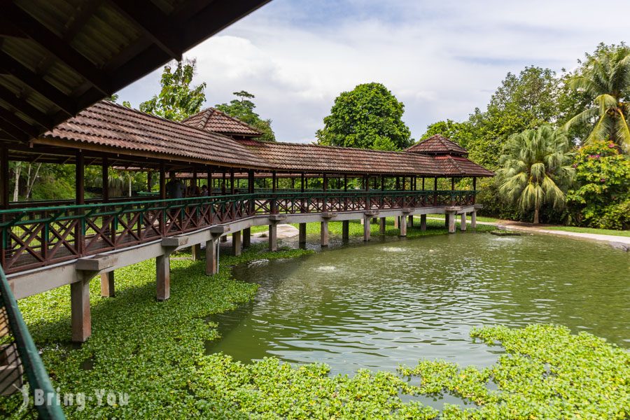 蘭卡威鱷魚公園