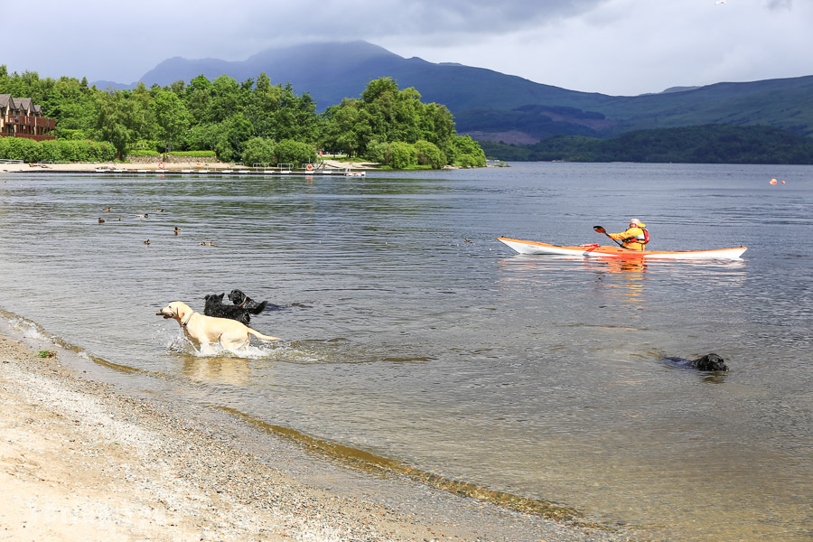 蘇格蘭高地必去景點｜Loch Lomond（羅夢湖）